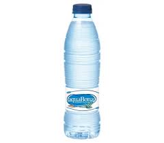 Agua plastico 500cl (llevar)