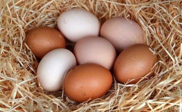 Huevos de Corral